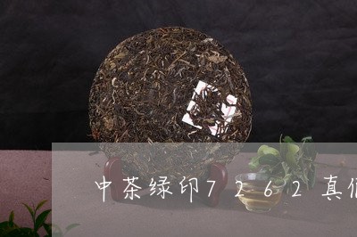 中茶绿印7262真假/2023060959504