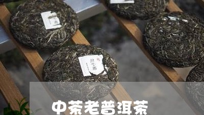 中茶老普洱茶/2023042869383