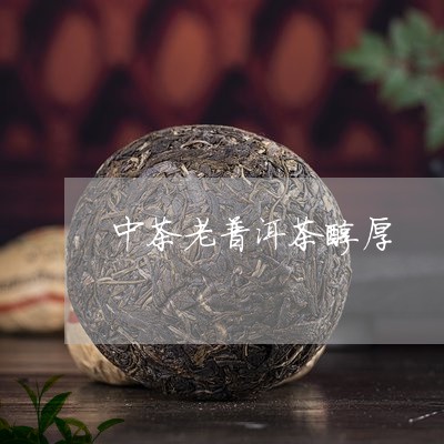 中茶老普洱茶醇厚/2023091552695