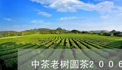 中茶老树圆茶2006年价格/2023052720693