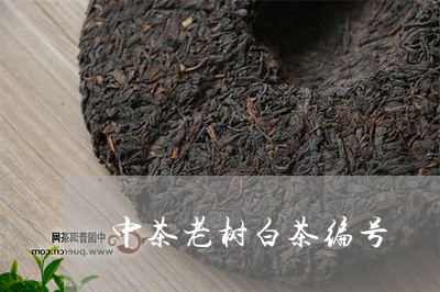 中茶老树白茶编号/2023061406149