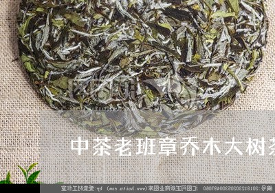 中茶老班章乔木大树茶/2023092492939