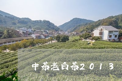 中茶老白茶2013/2023121540382