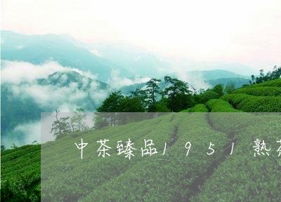 中茶臻品1951熟茶/2023061118270