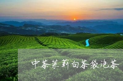 中茶茉莉白茶袋泡茶/2023081272513