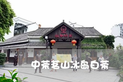 中茶茗山冰岛白茶/2023061470596