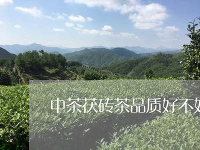 中茶茯砖茶品质好不好/2023060916170