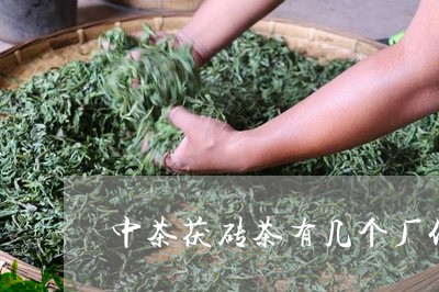 中茶茯砖茶有几个厂代加工/2023051166157