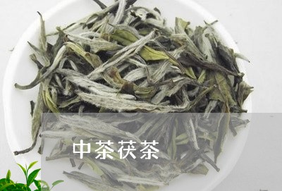 中茶茯茶/2023090146370