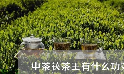 中茶茯茶王有什么功效/2023060972939