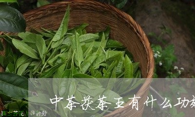 中茶茯茶王有什么功效/2023092080808