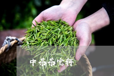 中茶茶宝轩/2023090228381