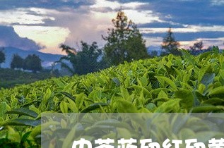 中茶蓝印红印黄印级别/2023071588473