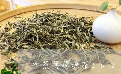 中茶薄荷塘茶2021值得购买藏/2023053101674