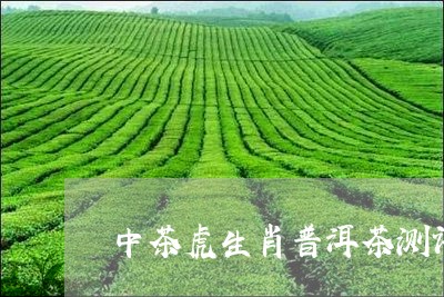 中茶虎生肖普洱茶测评/2023120651794