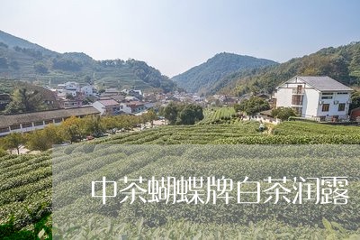 中茶蝴蝶牌白茶润露/2023081218383