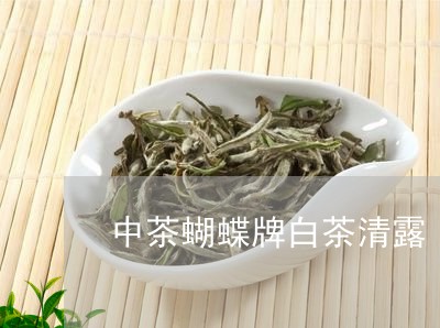 中茶蝴蝶牌白茶清露/2023081211713