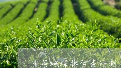 中茶蝴蝶牌白茶评测/2023071448281