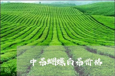 中茶蝴蝶白茶价格/2023061429392