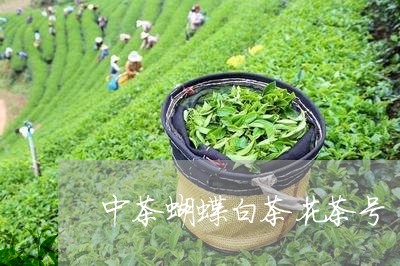 中茶蝴蝶白茶花茶号/2023071474927