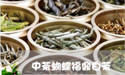 中茶蝴蝶福鼎白茶/2023061402606