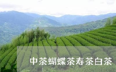 中茶蝴蝶茶寿茶白茶/2023071454061