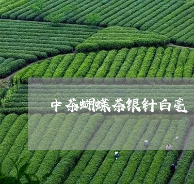 中茶蝴蝶茶银针白毫/2023081201715