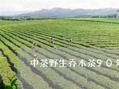 中茶野生乔木茶90年/2023092075926