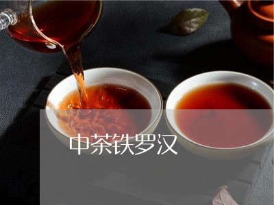 中茶铁罗汉/2023090296259