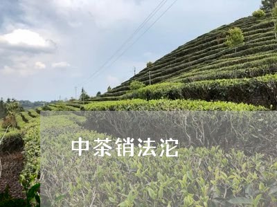 中茶销法沱/2023090221714