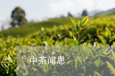 中茶闻思/2023121905946