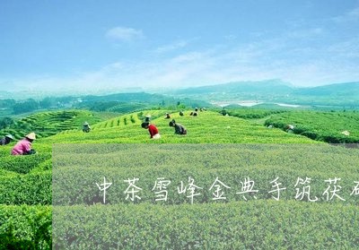 中茶雪峰金典手筑茯砖/2023092014137