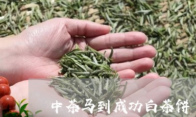 中茶马到成功白茶饼/2023071426059