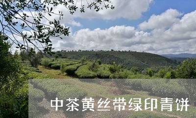 中茶黄丝带绿印青饼/2023042369482