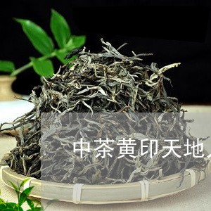 中茶黄印天地人普洱茶/2023062160405