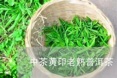 中茶黄印老熟普洱茶/2023101714149