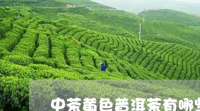 中茶黄色普洱茶有哪些品种/2023112569472