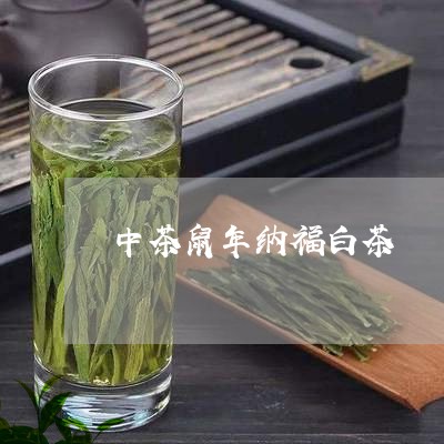 中茶鼠年纳福白茶/2023061458593