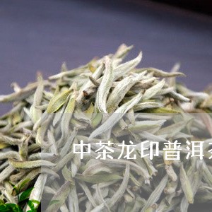 中茶龙印普洱茶的价格/2023062374926