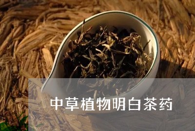 中草植物明白茶药/2023061441614