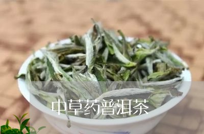 中草药普洱茶/2023042759124