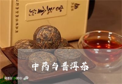 中药与普洱茶/2023042891269