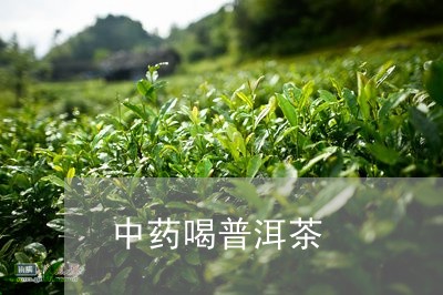 中药喝普洱茶/2023042755978