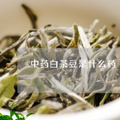 中药白茶豆是什么药/2023121653139