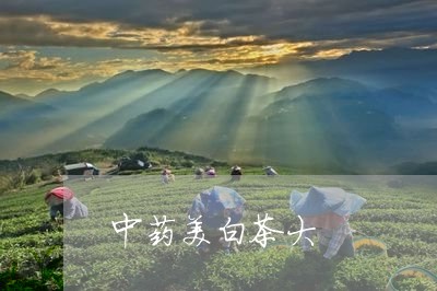 中药美白茶大/2023051266142