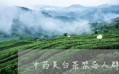 中药美白茶禁忌人群/2023071404048