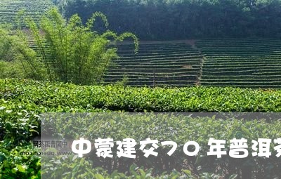 中蒙建交70年普洱茶/2023061848584