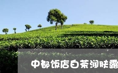 中都饭店白茶润肤露/2023121663906