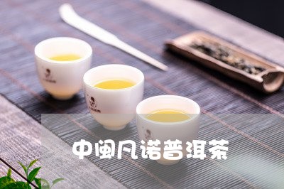 中闽凡诺普洱茶/2023081817369