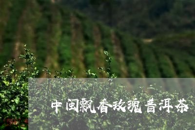 中闽飘香玫瑰普洱茶/2023120570603